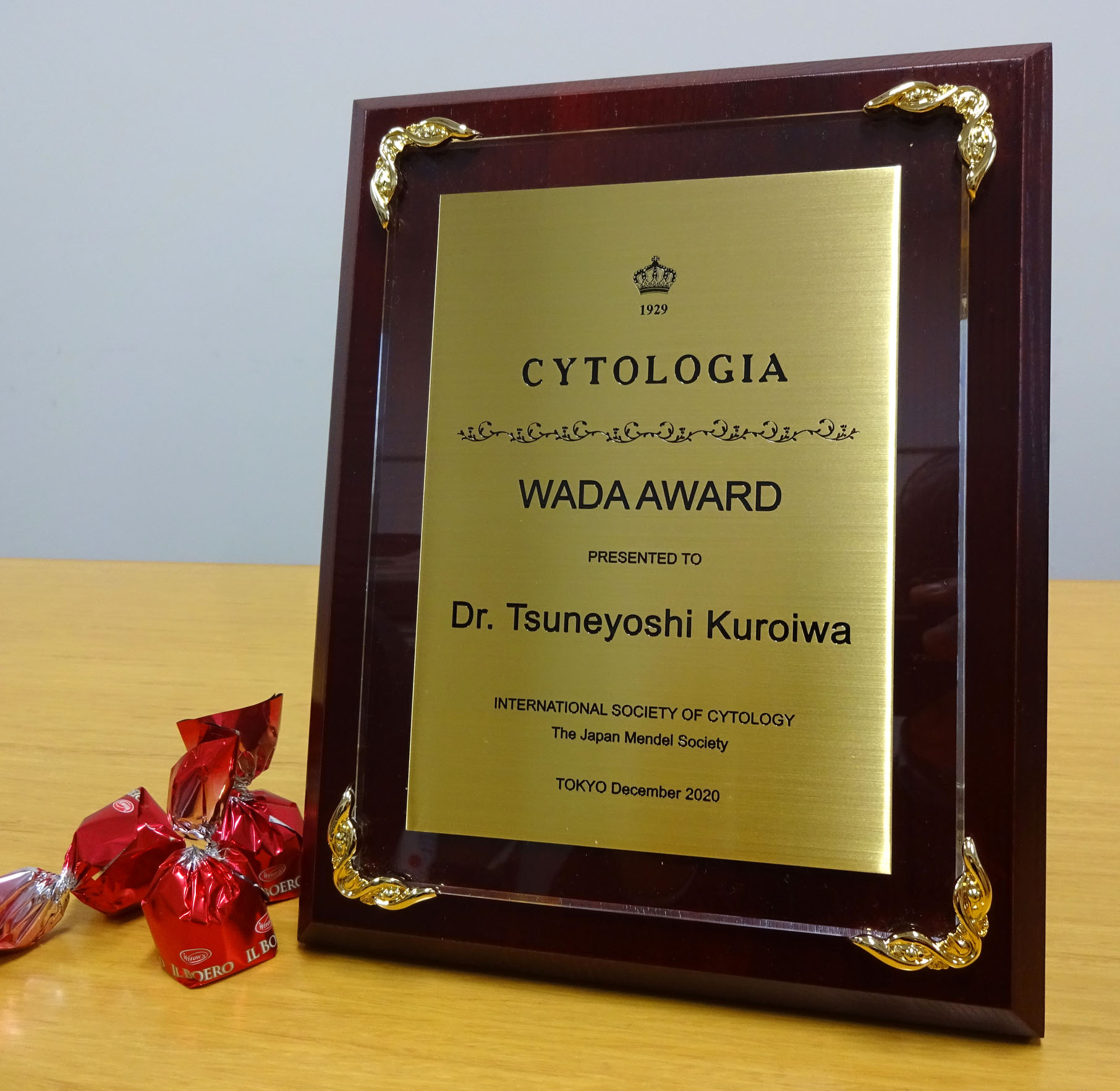 The 9th Wada Memorial Award plates